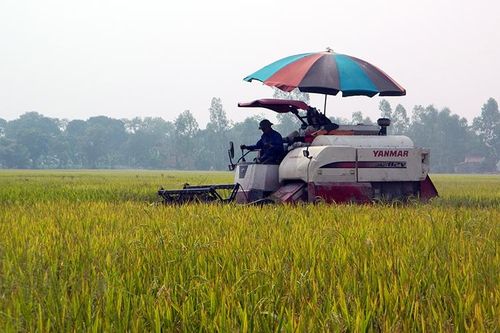 Những thành quả xây dựng nông thôn mới ở Hưng Yên