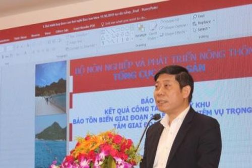 Đà Nẵng: Phát triển bền vững kinh tế biển gắn với tăng trưởng xanh