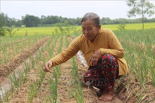 Người phụ nữ Khmer 'ăn cơm nhà lo chuyện thiên hạ'