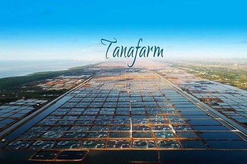 FMC: 'Né' cạnh tranh tại thị trường Mỹ, 9 tháng lãi tăng 41%