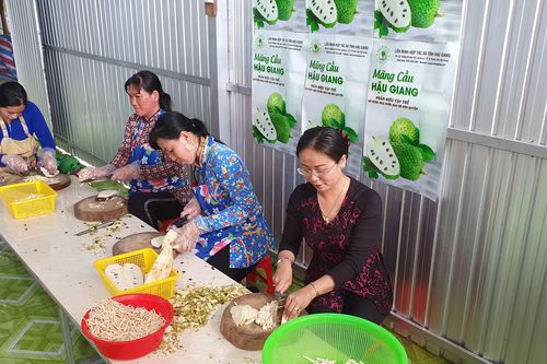 Nhiều mô hình thiết thực giúp phụ nữ khởi nghiệp ở Hậu Giang