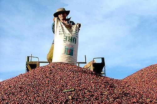 Đứng top đầu thế giới, 10 triệu hộ dân vẫn loanh quanh chợ làng