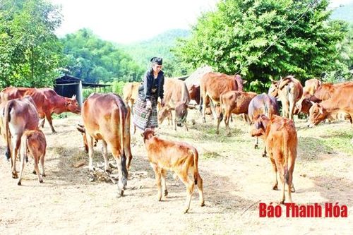 Đồng hành cùng phụ nữ biên cương