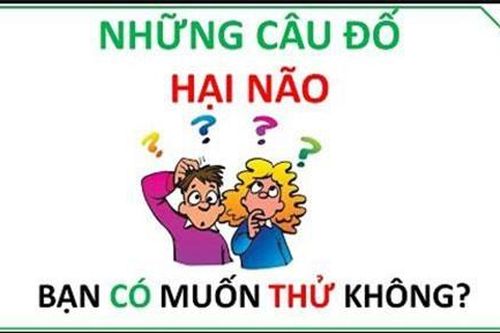 'Xoắn não' với câu đố kiểm tra sự logic dưới đây