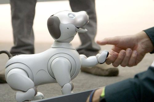 Chú chó robot Aibo có cảm xúc như thật lần đầu xuất hiện ở Việt Nam
