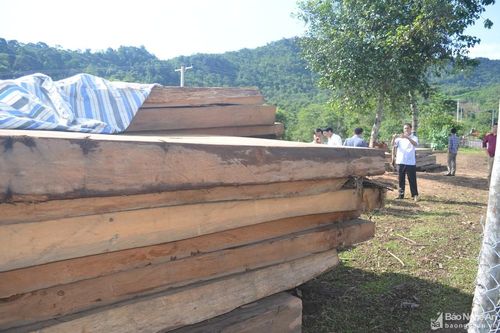 Phó Bí thư Tỉnh ủy Nghệ An yêu cầu thực hiện các giải pháp bảo vệ rừng biên giới