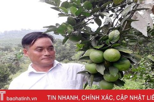 'Mục sở thị' trang trại 'khủng' ở Hà Tĩnh thu hàng tỷ đồng mỗi năm