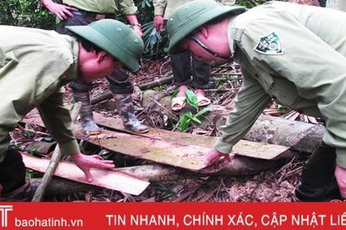 Phát huy vai trò các cấp trong quản lý, bảo vệ rừng ở Cẩm Xuyên