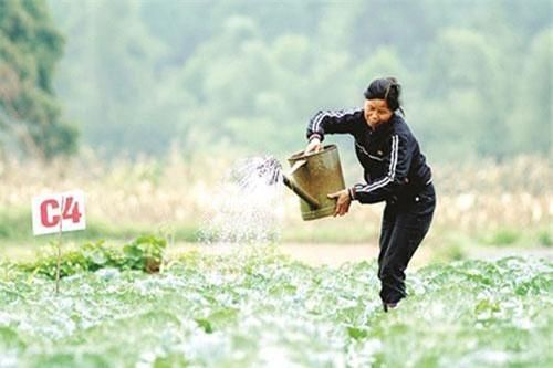 Tràng Định, Lạng Sơn đẩy mạnh phát triển HTX gắn với xây dựng nông thôn mới