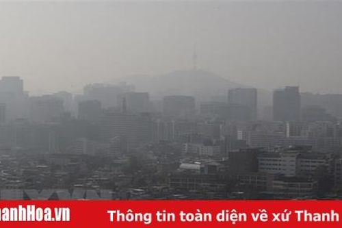 Hàn Quốc hạn chế ôtô theo biển chẵn-lẻ nhằm giảm bụi mịn