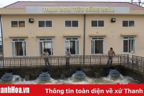 Huyện Thọ Xuân có 91% diện tích sản xuất nông nghiệp được tưới tiêu chủ động
