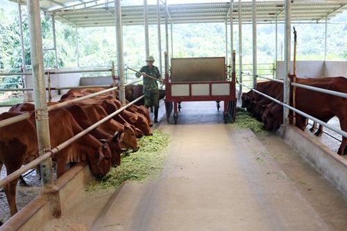 Trì Quang tập trung phát triển kinh tế