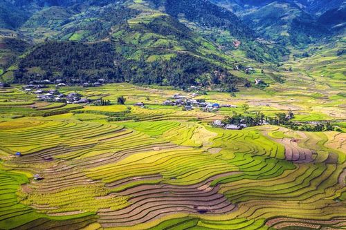 Hạt ngọc quí của núi rừng Tây Bắc