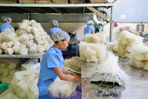 Phát huy vai trò của phụ nữ trong xây dựng hợp tác xã