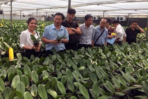 Vai trò 'bốn nhà' trong ứng dụng khoa học và công nghệ vào nông nghiệp