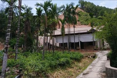 Kinh tế Xây dựng - Giao thông Tái định cư cho người dân bị ảnh hưởng khi khi thi công cao tốc La Sơn – Túy Loan