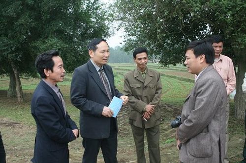 Như thời gian xanh mãi