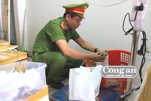 Tôm hùm bơm tạp chất trong cửa hàng hải sản ở Đà Nẵng