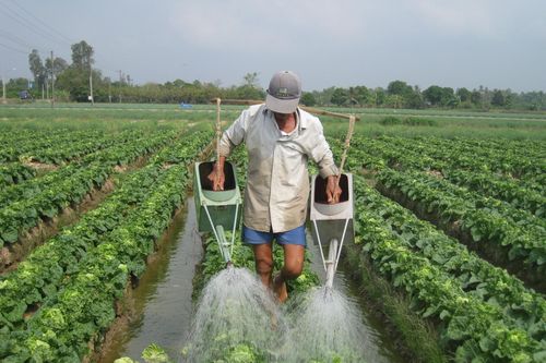 ĐBSCL: Lợi nhuận tăng thêm 10.672 tỷ đồng từ chuyển đổi cây trồng