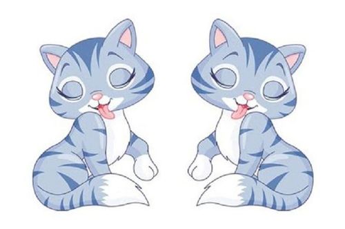 Dự đoán ngày mới 23/10/2019 cho 12 con giáp: Hợi đại phát, Mùi hao tài