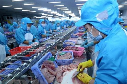 Hoa Kỳ kết luận sơ bộ thuế chống bán phá giá cá tra của Việt Nam