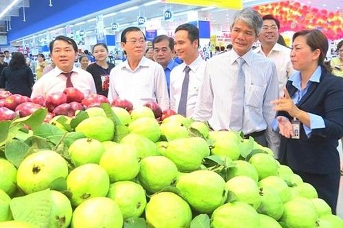 Nâng giá trị gia tăng, đẩy mạnh thương mại hóa nông sản