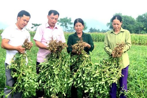 'Phải vì nông dân mới thành công được!'