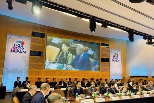 Phó Thống đốc Đào Minh Tú dự Hội nghị Bộ trưởng Tài chính và Thống đốc NHTW G20 năm 2019