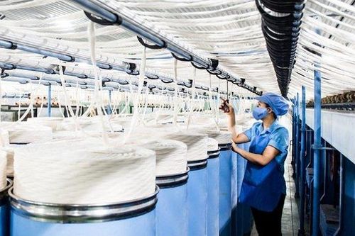 Doanh nghiệp có cổ phiếu 'nằm sàn' 30 phiên liên tiếp lỗ lớn