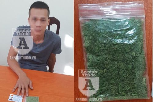Giấu gói cỏ Mỹ trong túi, vờ rút điện thoại gọi 'người quen' tại chốt 141