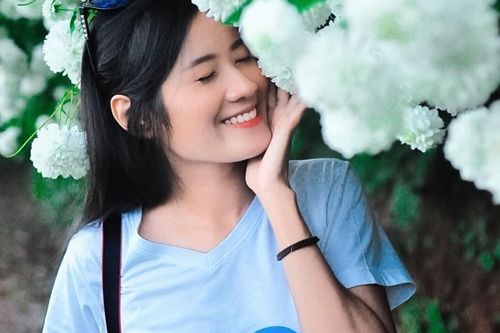 Đường hầm cúc núi nở trắng xóa như lạc vào cổ tích