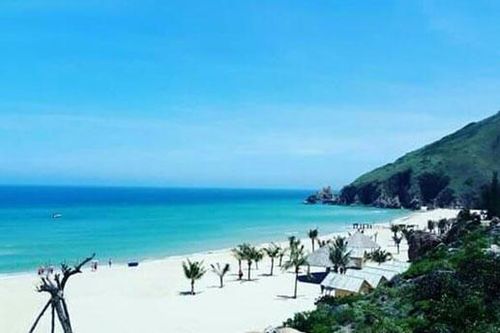 Khám phá Kỳ Co – Hòn đảo nên thơ mệnh danh 'Maldives Việt Nam'