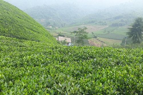 Đến với Thái Nguyên: Không chỉ có mỗi Hồ Núi Cốc