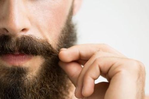 Truyện cười: Bộ râu dài nhất thế giới