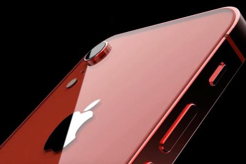 iPhone SE 2 giá rẻ sẽ có ăng-ten tiên tiến, bán ra cuối Q1/2020