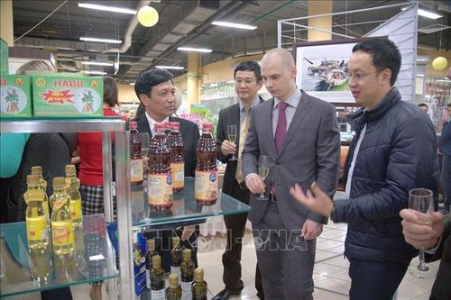 Tỉnh Thanh Hóa thúc đẩy hợp tác với các địa phương Nga