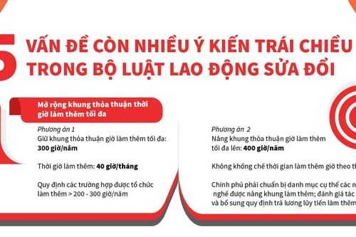5 vấn đề còn nhiều ý kiến trái chiều trong Bộ Luật Lao động sửa đổi