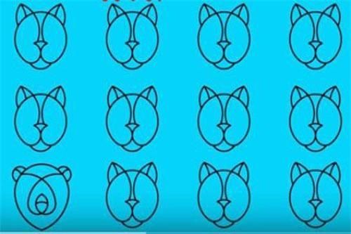 CLIP: Bạn có vượt qua 10 câu đố tìm hình khác biệt ở thử thách này không?