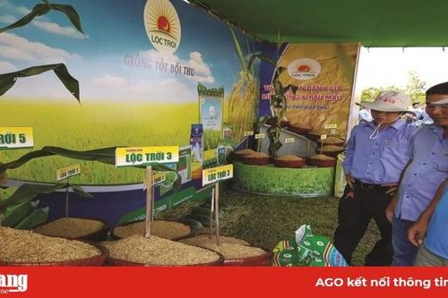 Đột phá phát triển kinh tế tập thể