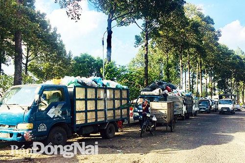 Cần lắm 'lá phổi xanh' cho đô thị Biên Hòa (Bài 2)