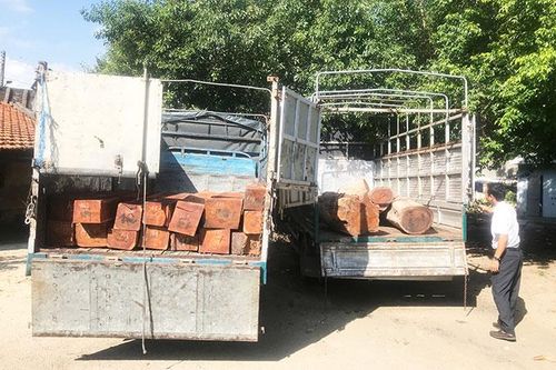 Tạm giữ 2 xe vận chuyển gỗ lậu