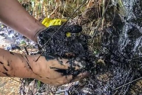 Phát hiện nhiều dầu thải còn lưu trữ tại Công ty gốm sứ Thanh Hà