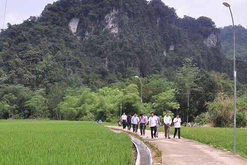 Nỗ lực kiên cố hóa kênh, mương ở Tuyên Quang