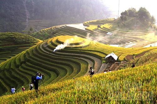 Ruộng bậc thang Mù Cang Chải đẹp mê hồn, giới trẻ 'hò' nhau lên đường