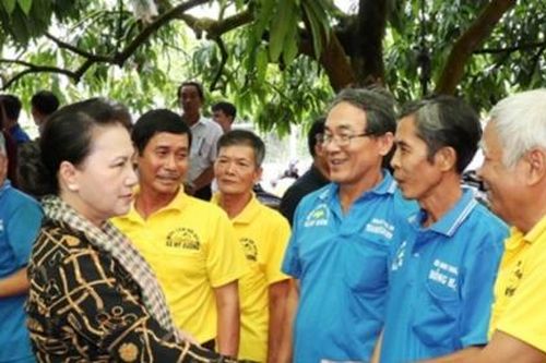 Hội quán nông dân - Mô hình 'đặc sản' của Đồng Tháp