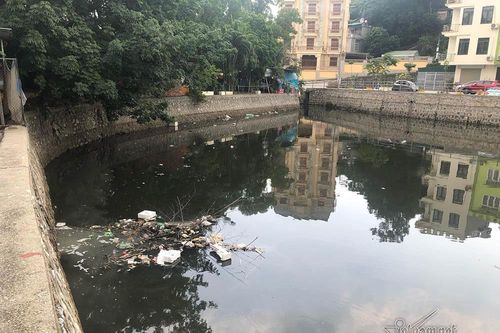 Cá chết kín hồ điều hòa ở Quảng Ninh, dọn cá không dọn rác