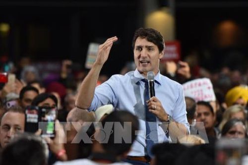 Thủ tướng Canada bác khả năng thành lập chính phủ liên minh