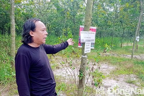 Hơn 40 năm đi đòi đất: Nỗi lòng của một gia đình Mẹ Việt Nam anh hùng