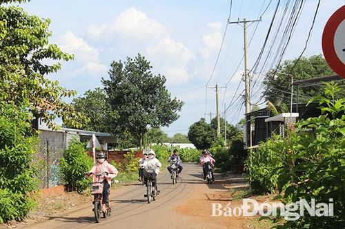 Những con đường sáng - xanh - sạch - đẹp trong vùng đồng bào Công giáo