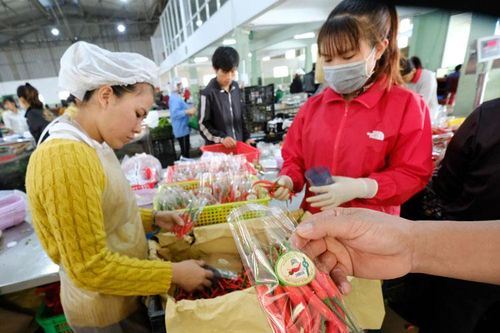Giấy thông hành đảm bảo cho các sản phẩm nông nghiệp